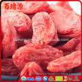 Ningxia Goji goji berries benfits Milhões de peças Vendas goji berries medicina chinesa a preço acessível